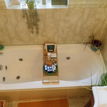Daire Rooftop Terrace Boho Center 2 Baths Bükreş