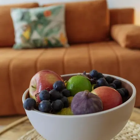 Terrasse Des Plongeurs * Bucharest